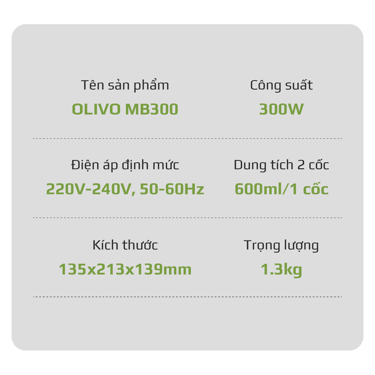Máy xay sinh tố OLIVO MB300 19